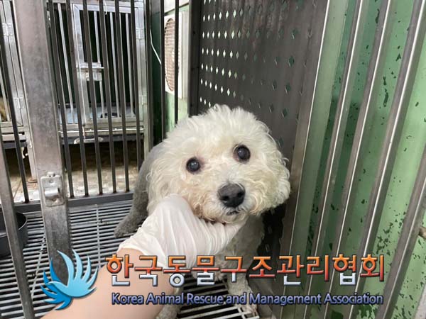 한국동물구조관리협회_411306202400715